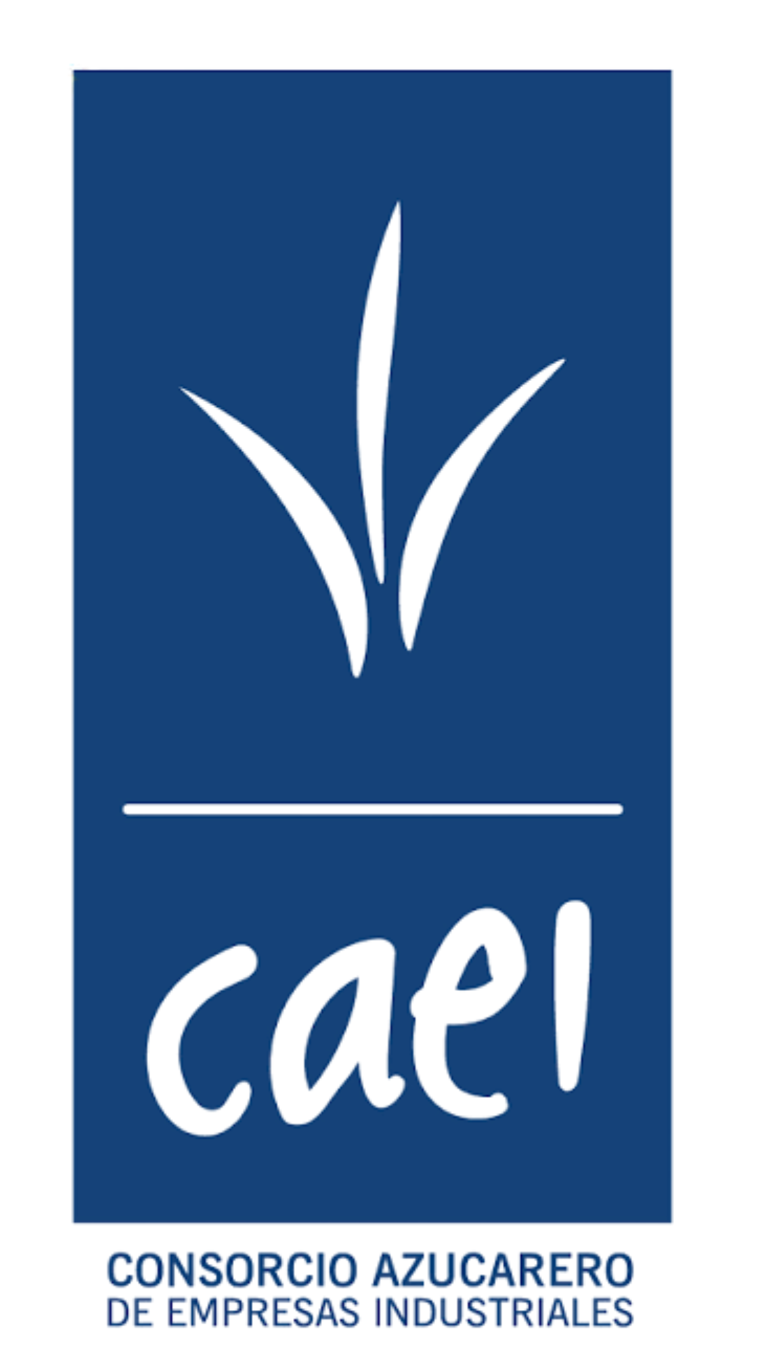 CAEI